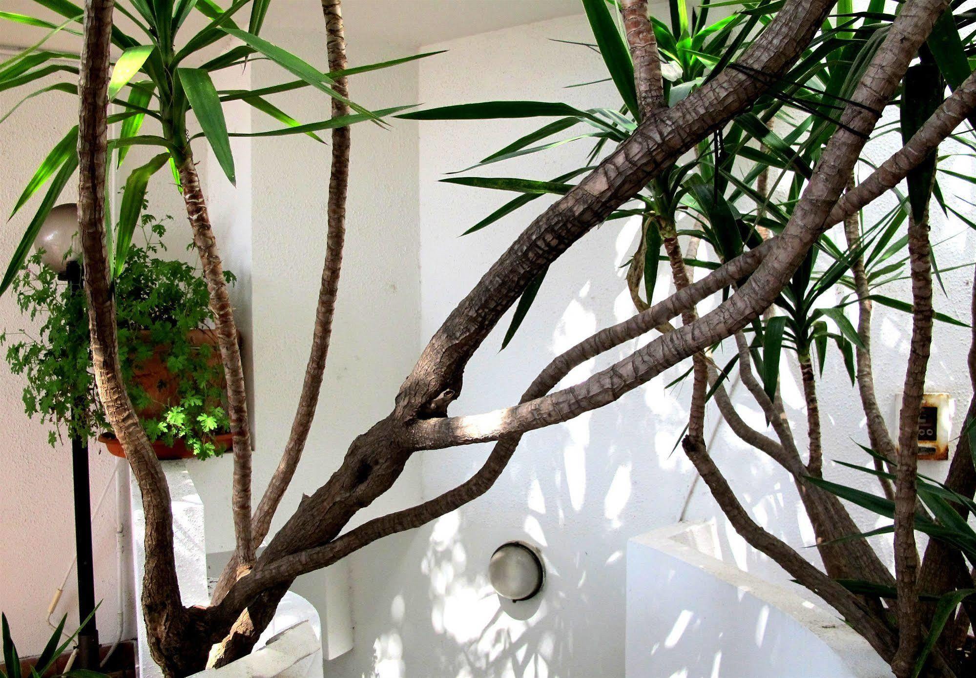 Hotel Pop Cala Gonone Ngoại thất bức ảnh